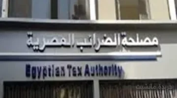 قرار رسمي.. إلزام صناع المحتوى والتجارة الإلكترونية بتقديم الإقرار الضريبي سنويًا 1